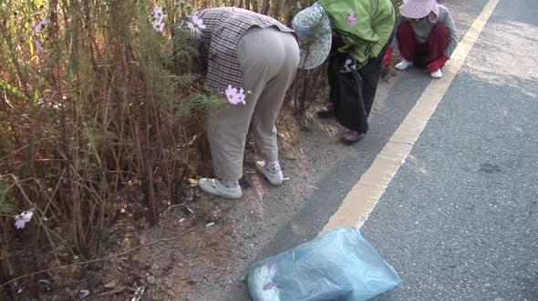 농사꾼이었던 대추리 주민들은 현재 공공근로를 하며 생계를 이어가고 있다. 이 날은 길가에 유채꽃씨를 뿌리는 일을 배당받았다. 사진 김도성 피디