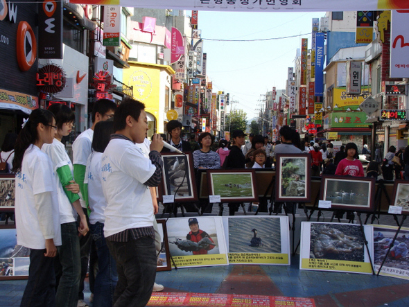  지난 14일 하리하라 생태지기들이 대전 은행동 으능정이 거리에서 시민들에게 대전지역 산하의 지표종들을 홍보하고 있다. 하리하라 제공