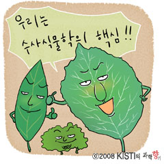 사건 해결의 단서, 식물
