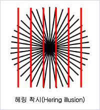 테니스 오심 논란이 잦은 이유 