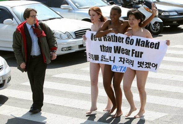27일 오후 유명 패션쇼가 열리고 있는 대치동 서울무역전시장 앞에서 PETA와 KARA의 동물운동가 회원들이 모피사용 반대를 외치며 누드시위를 하고 있다.  (서울=연합뉴스)