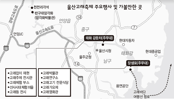울산고래축제 주요행사 및 가볼만한 곳