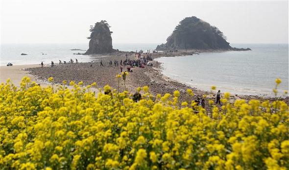 충남 태안군 안면읍 승언리 꽃지해안공원에서 열리는 ‘2009 안면도 국제 꽃박람회’를 찾은 관광객들이 28일 썰물로 바닷물이 빠진 꽃지해안공원∼할미·할아비바위 구간을 걷고 있다. 태안/연합뉴스
