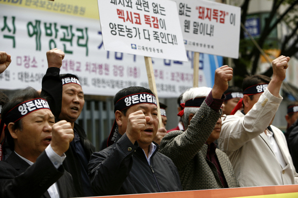 대한양돈협회 회원들이 30일 오전 서울 은평구 녹번동 질병관리본부 앞에서 ‘돼지인플루엔자’라는 용어를 ‘멕시코인플루엔자’로 바꿔줄 것을 요구하는 시위를 벌이고 있다. 이들은 “돼지인플루엔자라는 용어 사용으로 돼지고기 값이 떨어져 축산농가들이 많은 피해를 입고 있다”며 대책 마련을 호소했다.  김명진 기자 littleprince@hani.co.kr