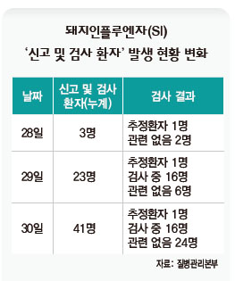 돼지인플루엔자 ‘신고 및 검사환자’ 발생 현황 변화