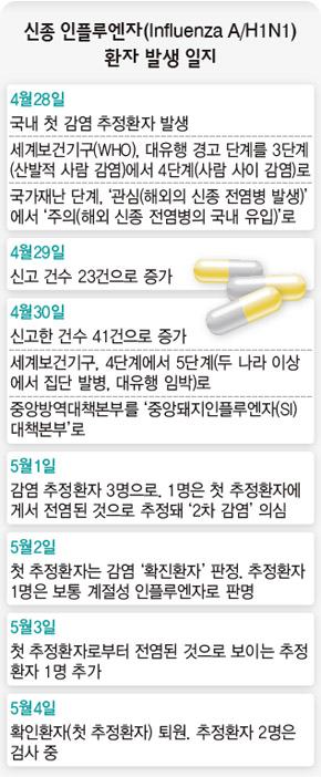 신종 인플루엔자 환자 발생 일지
