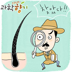 머리카락은 진실을 알고 있다 