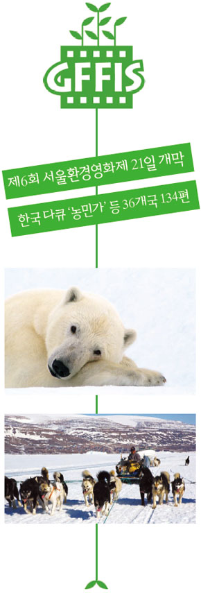 다큐멘터리 〈북극의 눈물〉. 사진 서울환경영화제 제공