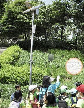 서울 서초구 양재천 영동1~2교 구간에 설치된 ‘하이브리드 태양광 발광다이오드(LED) 보안등’.