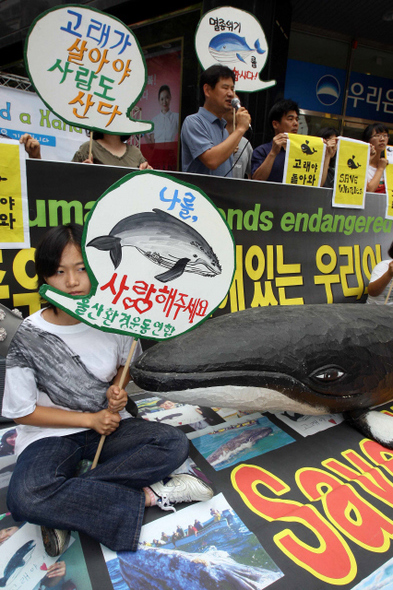 환경운동연합 회원들이 8일 오전 서울 명동 거리에서 농림수산식품부와 울산 남구청에 고래사냥 재개 시도 중단을 촉구하고 있다. 이들은 농식품부가 지난 3월 로마회의와 4월 도쿄회의에서 고래를 자원으로 간주하고, 이의 지속적인 이용을 위해 공동 노력하기로 약속한 것도 비판했다.  김태형 기자 xogud555@hani.co.kr