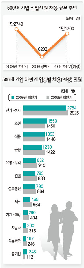 하반기 대졸신입 1만1700명 채용