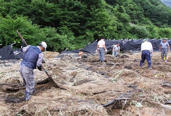 전북 무주군 부남면 안창천 둑이 폭우 때마다 유실되는 사고가 반복되고 있어 항구적인 대책이 절실하다. 지난 14-15일 내린 집중호우로 부남면 안창천 둑이 유실돼 하천이 범람하고 인삼밭과 농업시설물이 쓸려 내려가는 등 수억 원의 재산 피해가 발생했다. 무주/연합뉴스