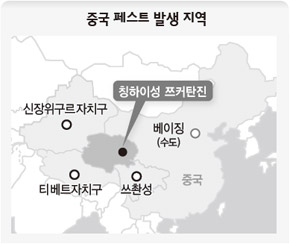 중국 페스트 발생 지역