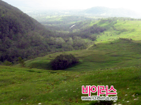 백두산 천지에 올라가는 곳까지의 길 중에서 드넓은 초원이 펼쳐저 있다  ⓒ 인터넷뉴스 바이러스