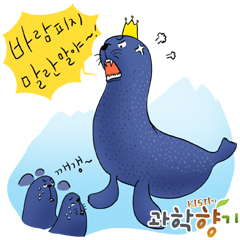 동물들의 막장 결혼 드라마
