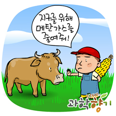 소 방귀 줄여 지구온난화 막는다?!