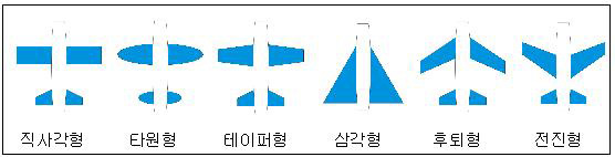 다양한 날개의 모습