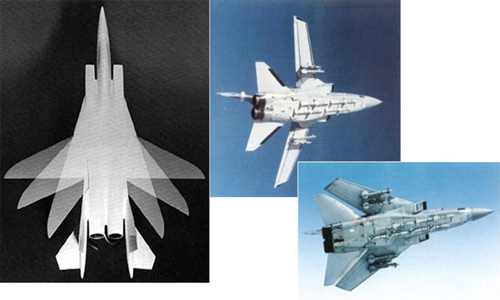가변익 모델(왼쪽)과 F-111 전투기의 실제 가변익 모습. 사진 제공. 한국항공우주연구원