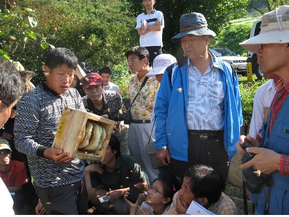 ‘토종꿀 박사’로 불리는 김대립(왼쪽)씨가 토종꿀 축제를 찾은 시민들에게 꿀 따는 방법을 시연하고 있다. 창원 토종꿀 축제 추진위원회 제공.