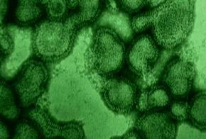  <과학카페> ‘바이러스와의 첨단전쟁’