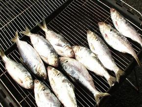 <요리비전-사천전어>