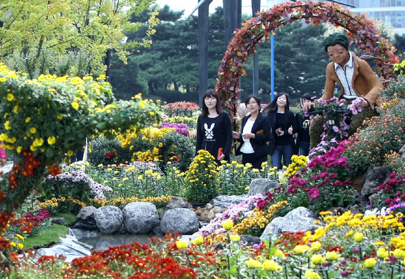 ‘2009 무역센터 국화 축제 개막일인 15일 오전 서울 강남구 삼성동 코엑스 동측광장을 찾은 시민들이 활짝 핀 형형색색의 국화꽃들을 살펴보고 있다.이종근 기자 root2@hani.co.kr