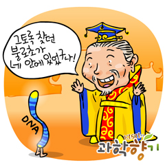 2009 노벨 생리의학상, 텔로미어
