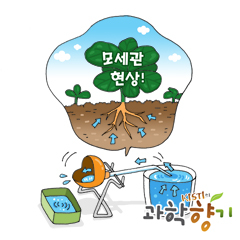 꿀꺽꿀꺽~ 물 먹는 새 만들기