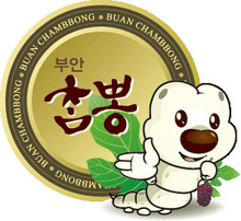 부안 누에타운, 전국 최고 지역특구