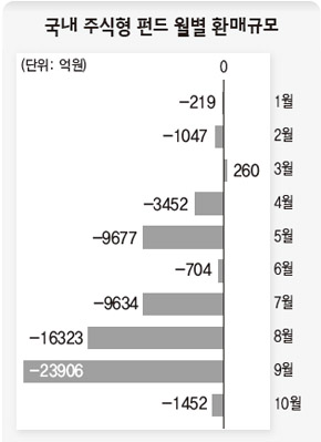 국내 주식형 펀드 월별 환매규모