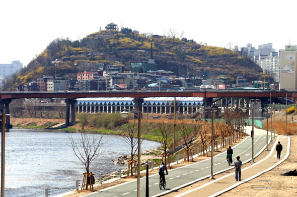 서울 중랑천 자전거도로에서 바라본 응봉산의 모습. 응봉산 오른쪽에 15층의 대림아파트가 보인다. 윤영수씨 제공.