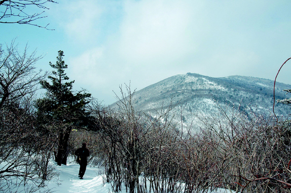 태백산(사진)