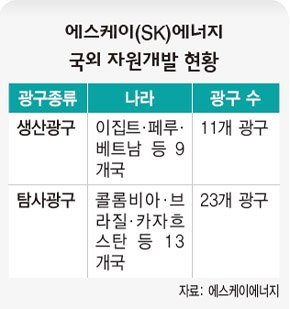에스케이 에너지 국외 자원개발 현황