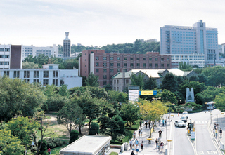 중앙대학교 . 한겨레 자료사진