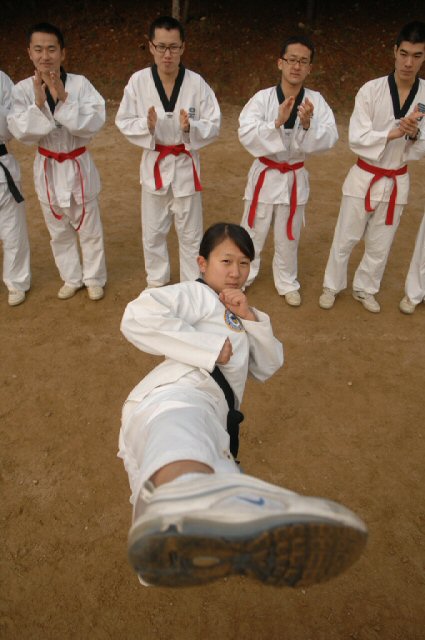 육군 76사단 정비대대에서 근무하는 안지은(25.여군53기) 중위는 태권도 5단, 유도 2단, 합기도 1단 등을 합해 무술 8단의 실력으로 ‘인간병기’, ‘태권 소녀’라는 별명을 얻었다. 안 중위는 2008년 단국대 태권도학과를 졸업한 뒤 곧바로 여군 장교로 지원한 안 중위는 초등 2학년부터 대학 1학년까지 12년간 태권도 선수생활을 해 왔으며, 국가대표 선발전 출전 경험과 서울시 태권도 시범단원으로도 활동했다. 연합뉴스