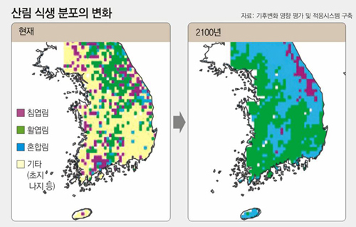 온난화가 계속될 경우 한반도에 분포하는 나무종이 달라지게 된다. 그래프에서 볼 수 있듯이 침엽수의 분포지는 북상해 줄어들게 되며 활엽수와 혼합림의 분포는 늘게 된다. 자료제공 동아일보