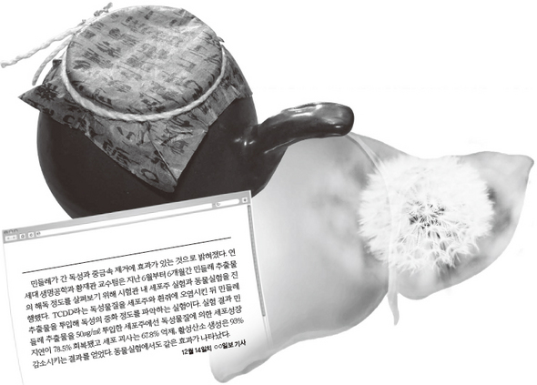  ‘피곤한 간’ 쉬는 게 돕는 것