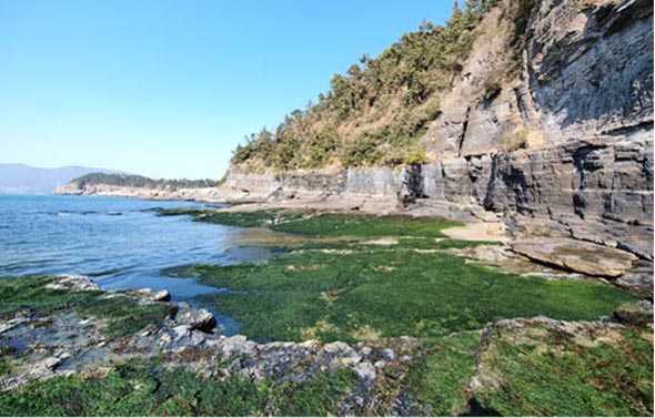 낭도 전경.
