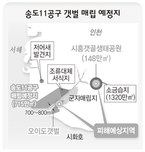 송도11공구 갯벌 매립 예정지