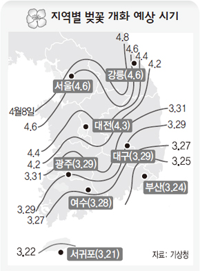 지역별 벚꽃 개화 예상 시기