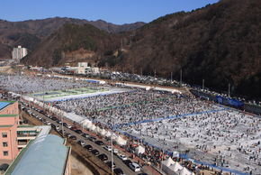 화천 산천어 축제