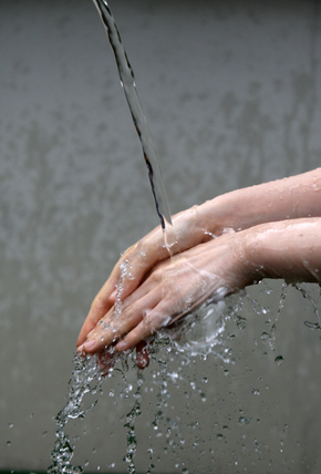 황사 걱정? 말끔히 씻어주마