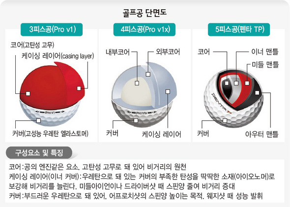 골프공 단면도