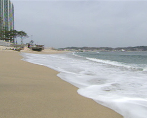 <환경스페셜-살아 숨쉬는 땅, 모래>