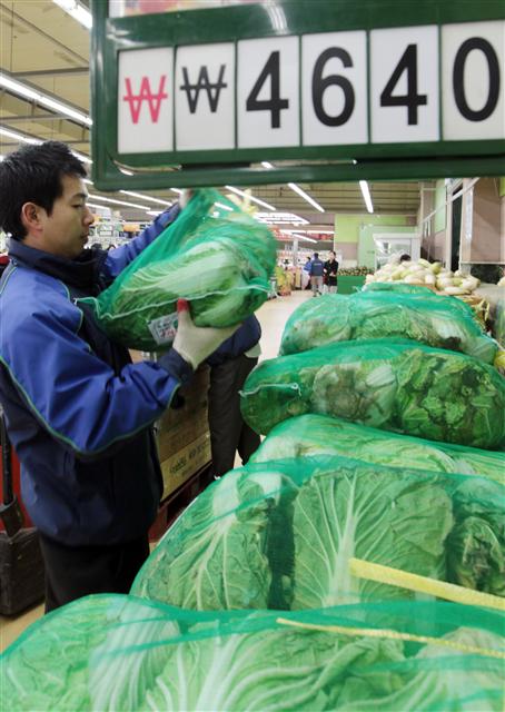 지난 겨울 잦은 폭설과 한파로 배추 출하량이 준 탓에 배추값이 고공 행진을 이어가고 있다. 13일 오전 서울 양재동 농협 하나로클럽에서 배추 한 포기가 4640원에 팔리고 있다. 연합뉴스