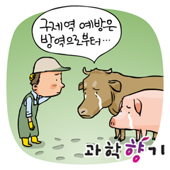 워낭소리 잡는 구제역 A to Z