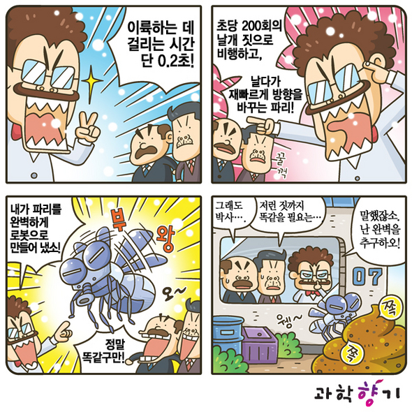 파리의 비행스피드, 비밀은 무엇?
