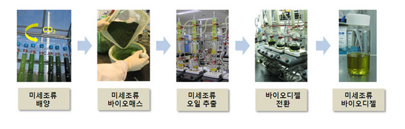석탄으로 전기를 생산할 때 나오는 배기가스로 미세조류 바이오디젤을 생산하는 과정. 자료제공 : 한국에너지기술연구원