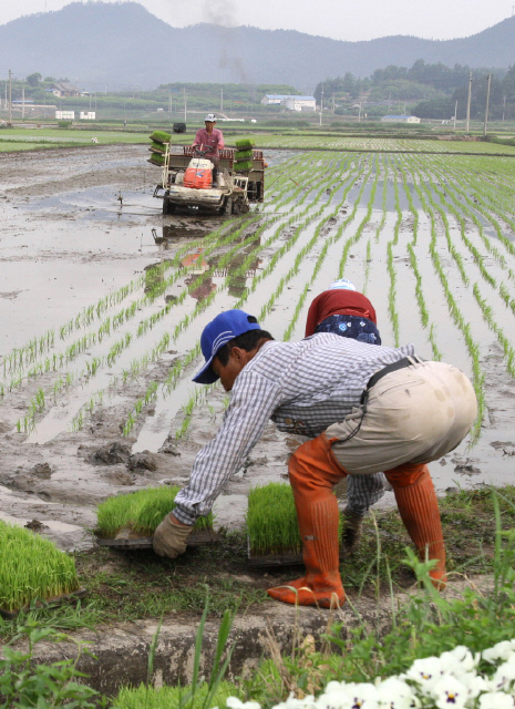 만든 곳→ 한국 네티즌본부카페: 변조방지표시