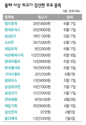 올해 사상 최고가 경신한 주요 종목